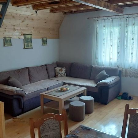 Vila Daniela Zaovine エクステリア 写真
