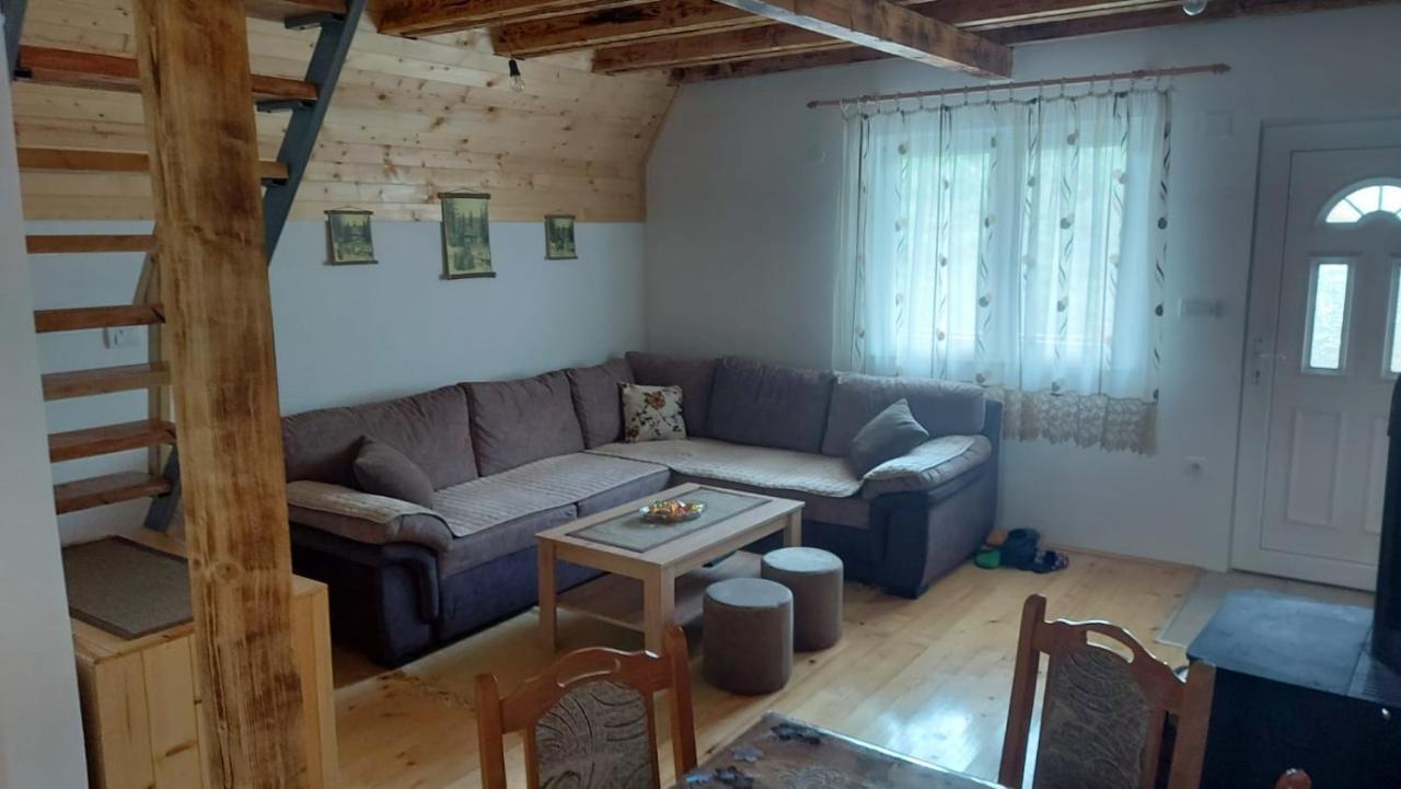 Vila Daniela Zaovine エクステリア 写真