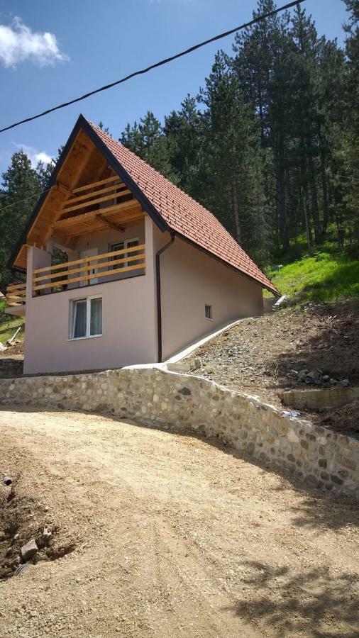 Vila Daniela Zaovine エクステリア 写真